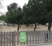 IMG_5240 (Small).webp