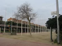 IMG_5248 (Small).webp