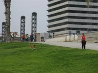 IMG_5254 (Small).webp