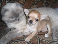 SAM_68954567.webp