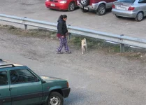 IMG_5498 (Small).webp
