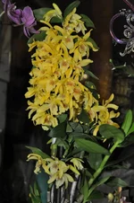 DSC_9121.jpg