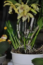DSC_9122.webp