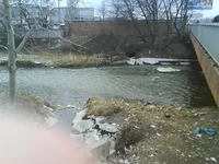 DSC02131.webp
