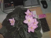 BILD0996.webp