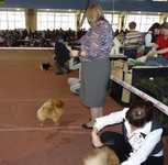 P1030404.webp