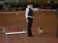 P1030410.webp