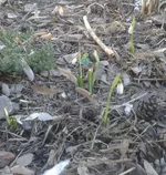20130305_152343 1.webp