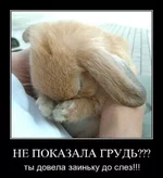 -смешные-демотиваторы-GTFO-покажи-******-32092.webp -смешные-демотиваторы-GTFO-покажи-******-32092.webp