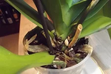 DSCF5719.jpg