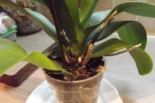 DSCF5720.webp