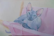 пушок в гамаке 400х600.JPG