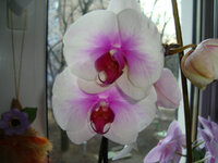 DSC03557.JPG