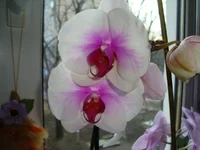 DSC03557.webp