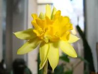 DSC03565.webp
