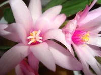DSC03575.webp