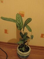 Изображение 015.jpg