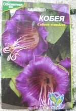 Не кобея.jpg