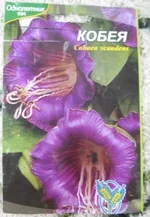  кобея.webp