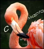 1326113106_12049624431735_s_8_marta.webp