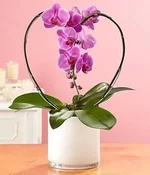 8.webp