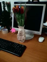uploadfromtaptalk1362771108826.webp