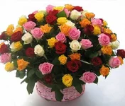 1765920.webp