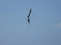 IMG_3961.JPG
