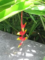 IMG_3990.JPG