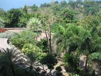 IMG_3974.JPG