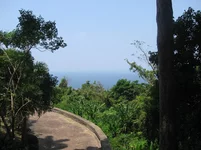 IMG_3960.JPG