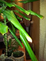 20130309_201848.jpg