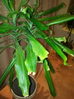 20130309_201909.jpg
