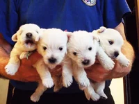 2013-03-09_7.webp