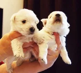 2013-03-09_5.webp
