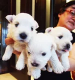 2013-03-09_15.webp