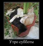 9 марта.webp