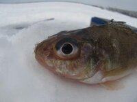 IMG_0652.JPG