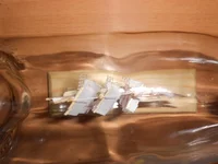 DSCN2606.webp
