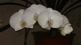 16092012569.jpg