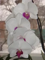 DSC03076.JPG