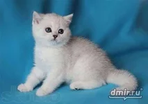 10399636.webp