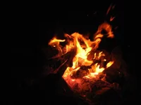 IMG_1948.webp