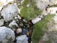 IMG_1952.webp