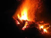 IMG_1974.webp