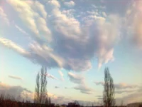 Mobilefoto(9).webp