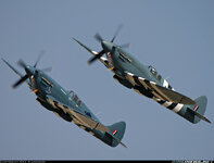 Spitfires.jpeg