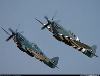 Spitfires.webp