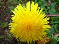 DSC00106_resize.webp