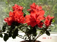 _resize.webp